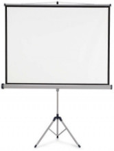 ecran de projection petit